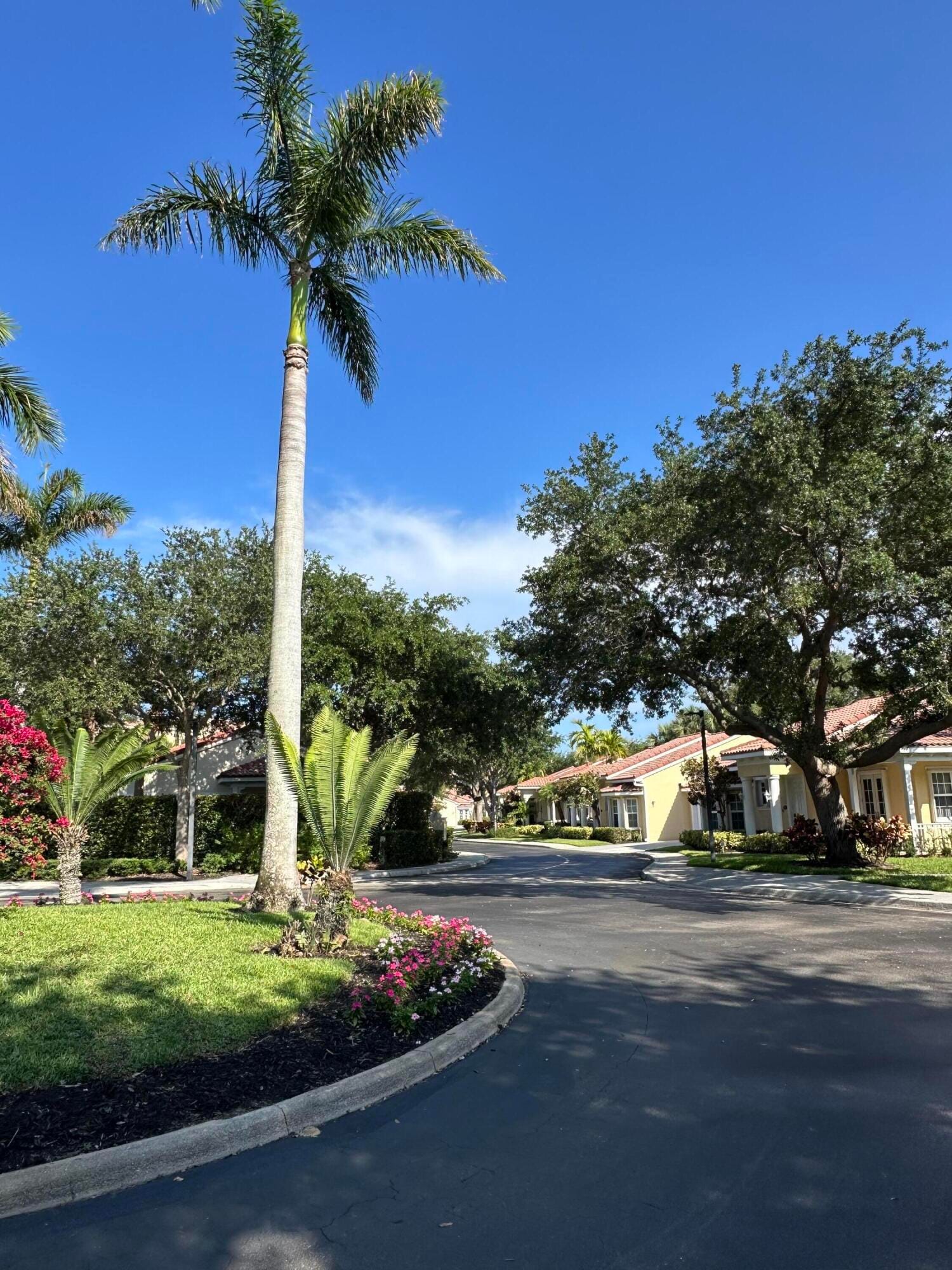 132 Mangrove Bay Way — photo 12