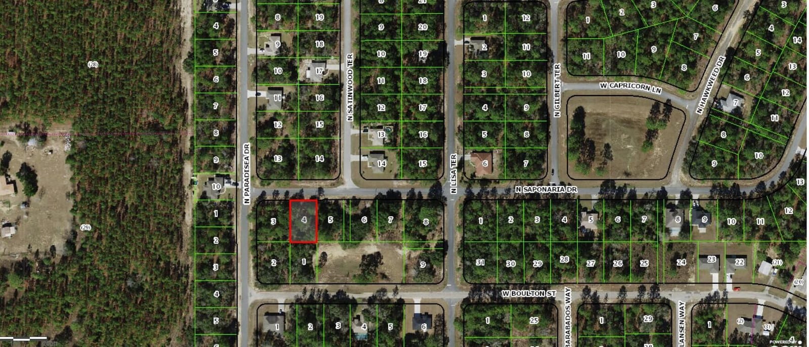9029 N Saponaria Drive — photo 4