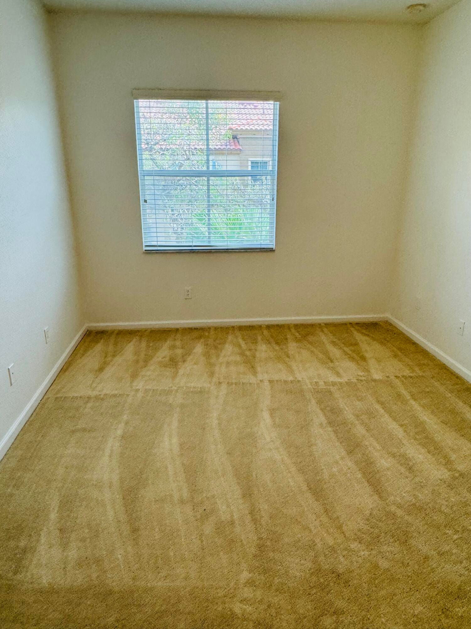 6550 Morgan Hill Trail 1909 — photo 12