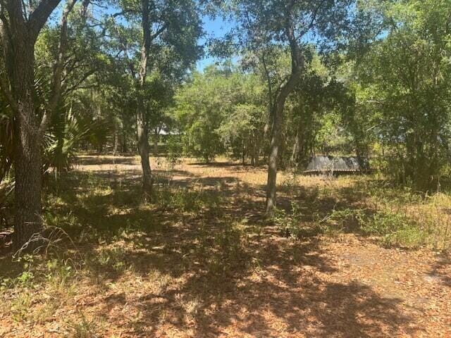 19201 NW 256th Street, Okeechobee, FL 34972 photo 3