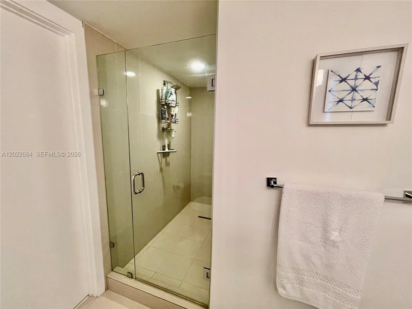 5252 NW 85th Avenue 406 — photo 12