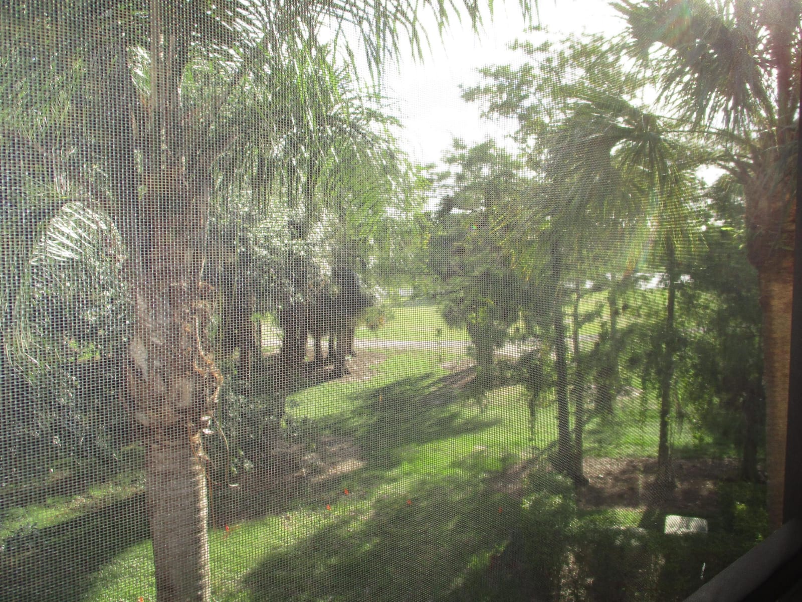 6751 N University Drive 320, Tamarac, FL 33321 photo 19
