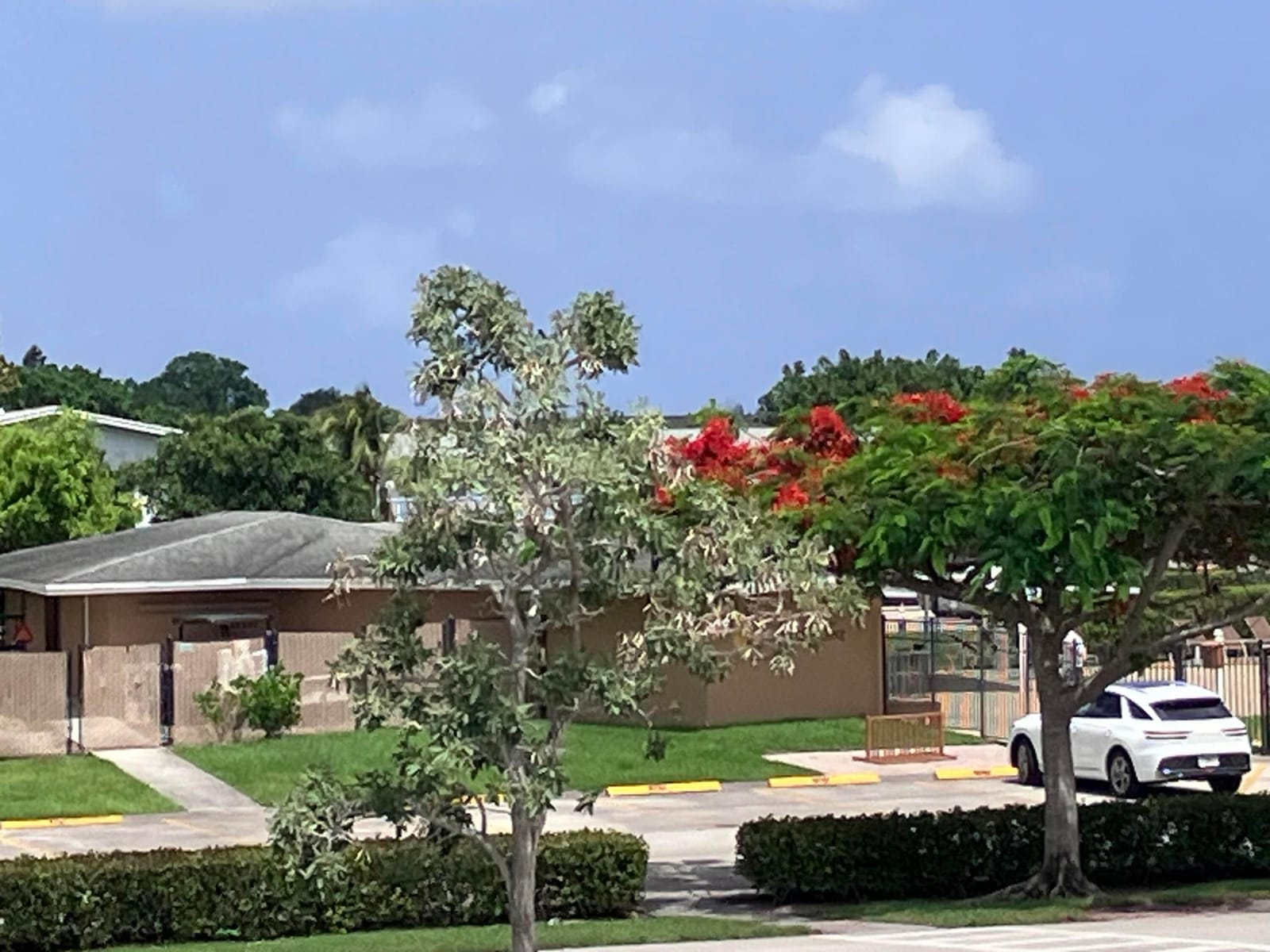 364 Northampton R, West Palm Beach, FL 33417 photo 25