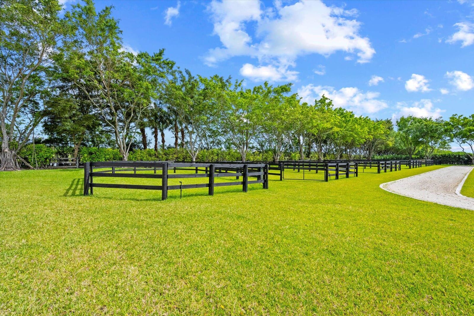 12995 Via Christina, Wellington, FL 33414 photo 23