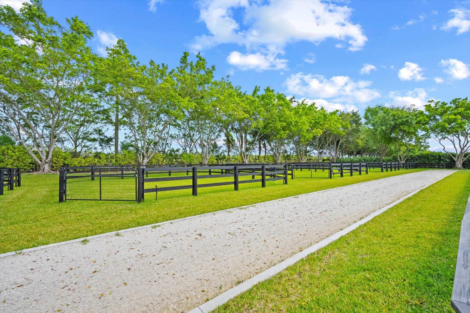 12995 Via Christina, Wellington, FL 33414 photo 27