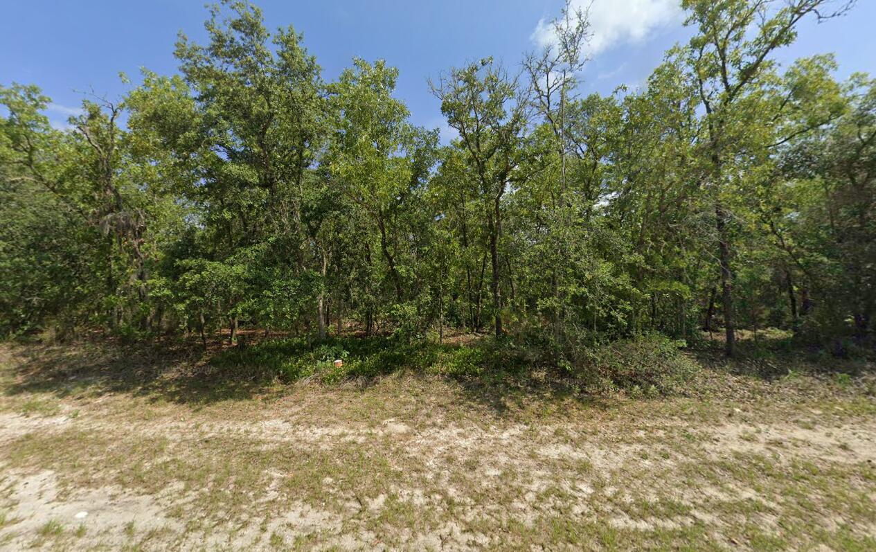 Tbd SW 72nd Circle, Dunnellon, FL 34432, Dunnellon