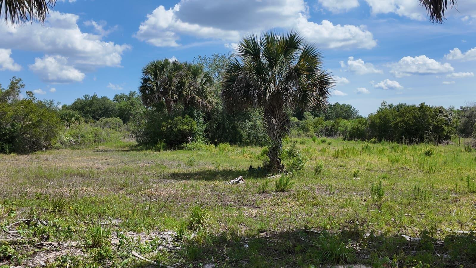 18980 NW 274th Street, Okeechobee, FL 34972, Okeechobee