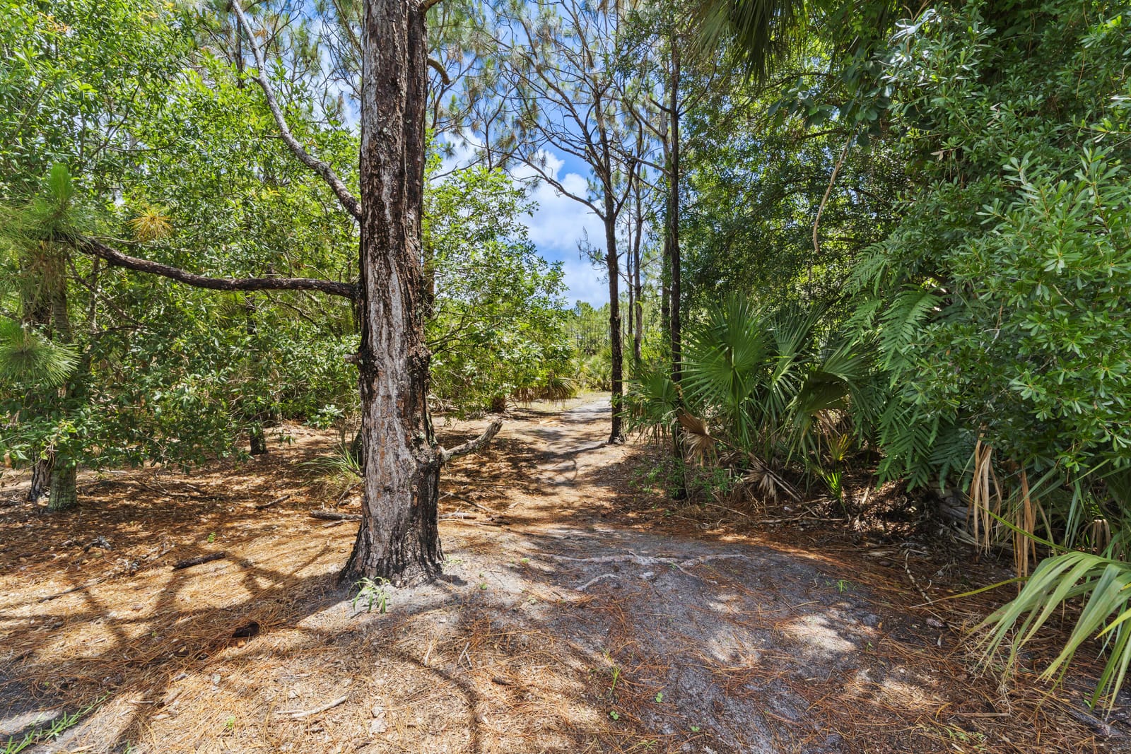 3051 SW Otter Lane, Stuart, FL 34997 photo 23