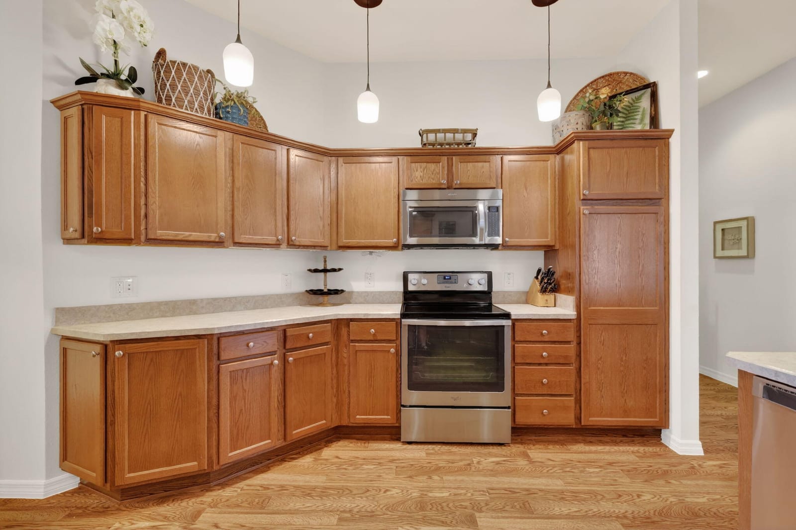 3746 New Moon Avenue, The Villages, FL 32163 photo 22