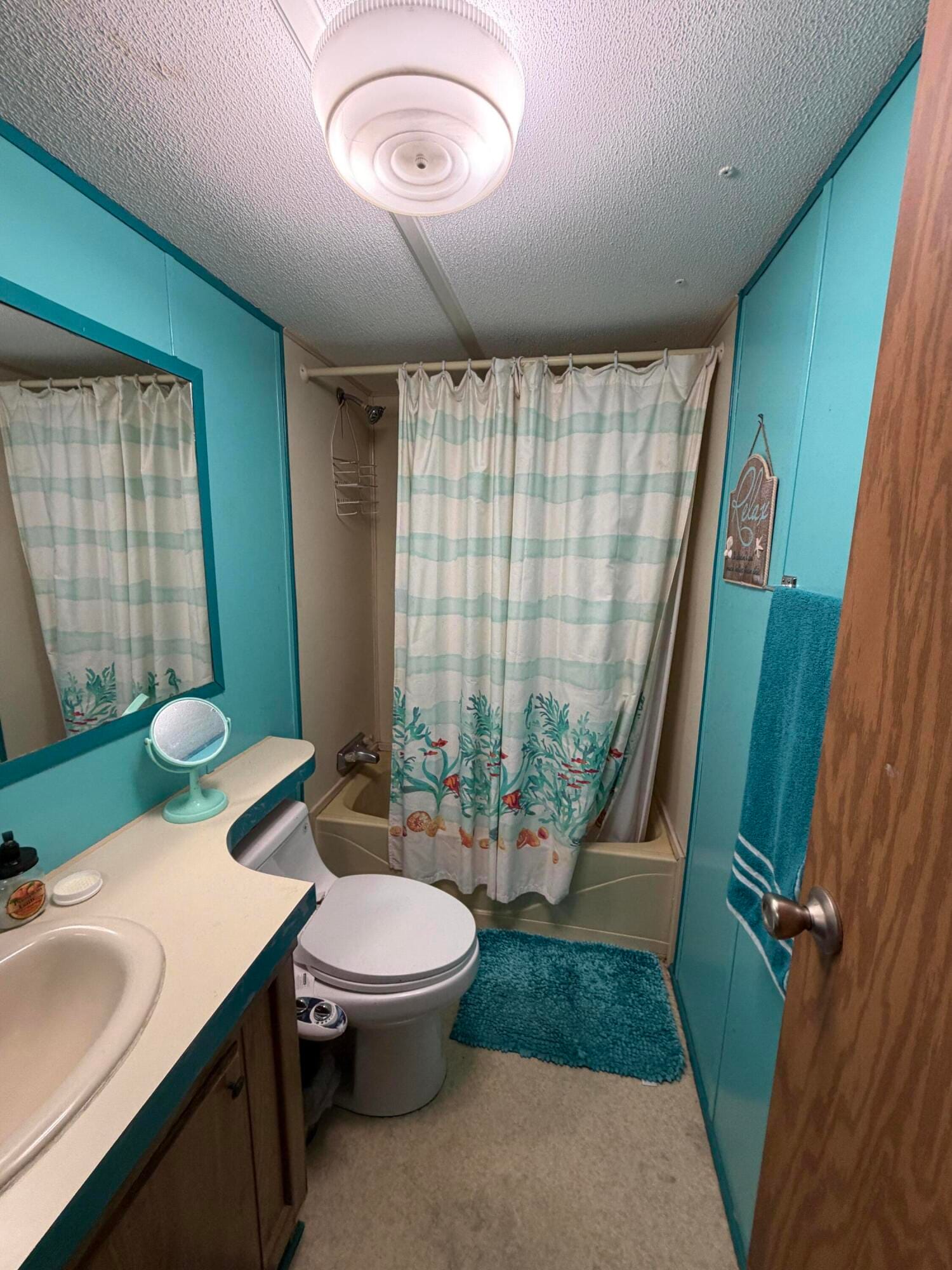 4207 SE 27th Street, Okeechobee, FL 34974 photo 21