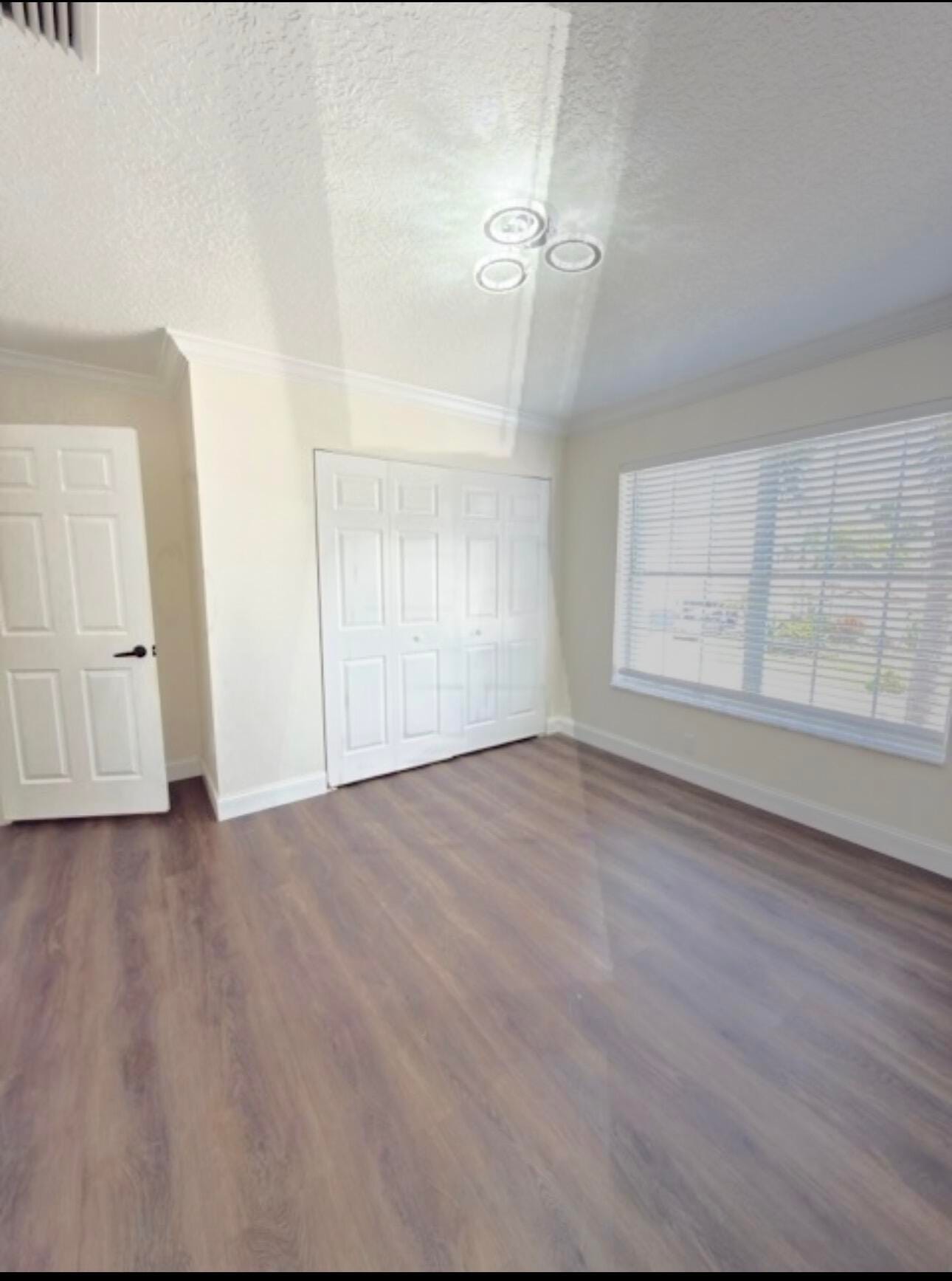 22057 Palm Grass Drive — photo 9