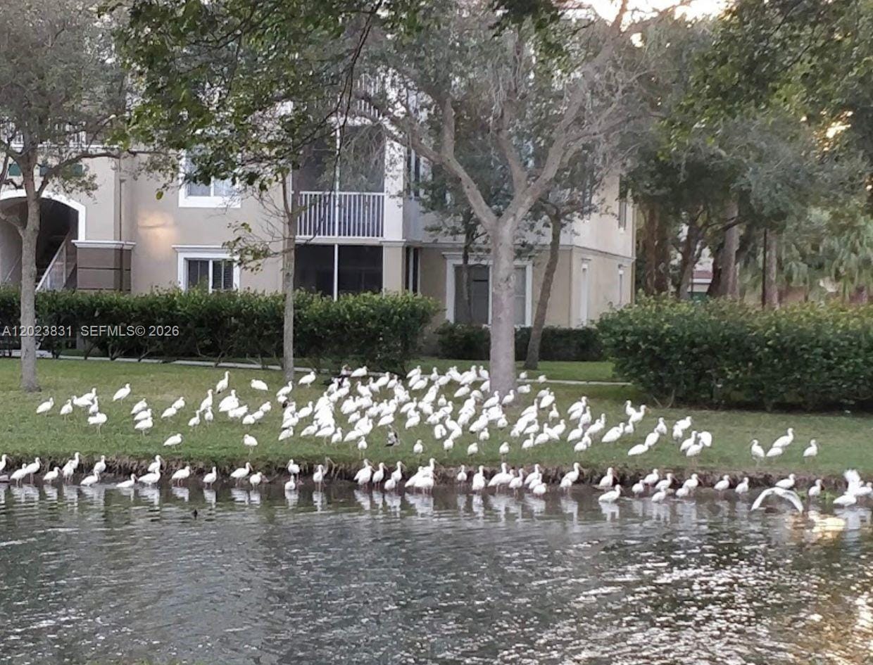 11715 W Atlantic Boulevard 1826, Coral Springs, FL 33071 photo 27