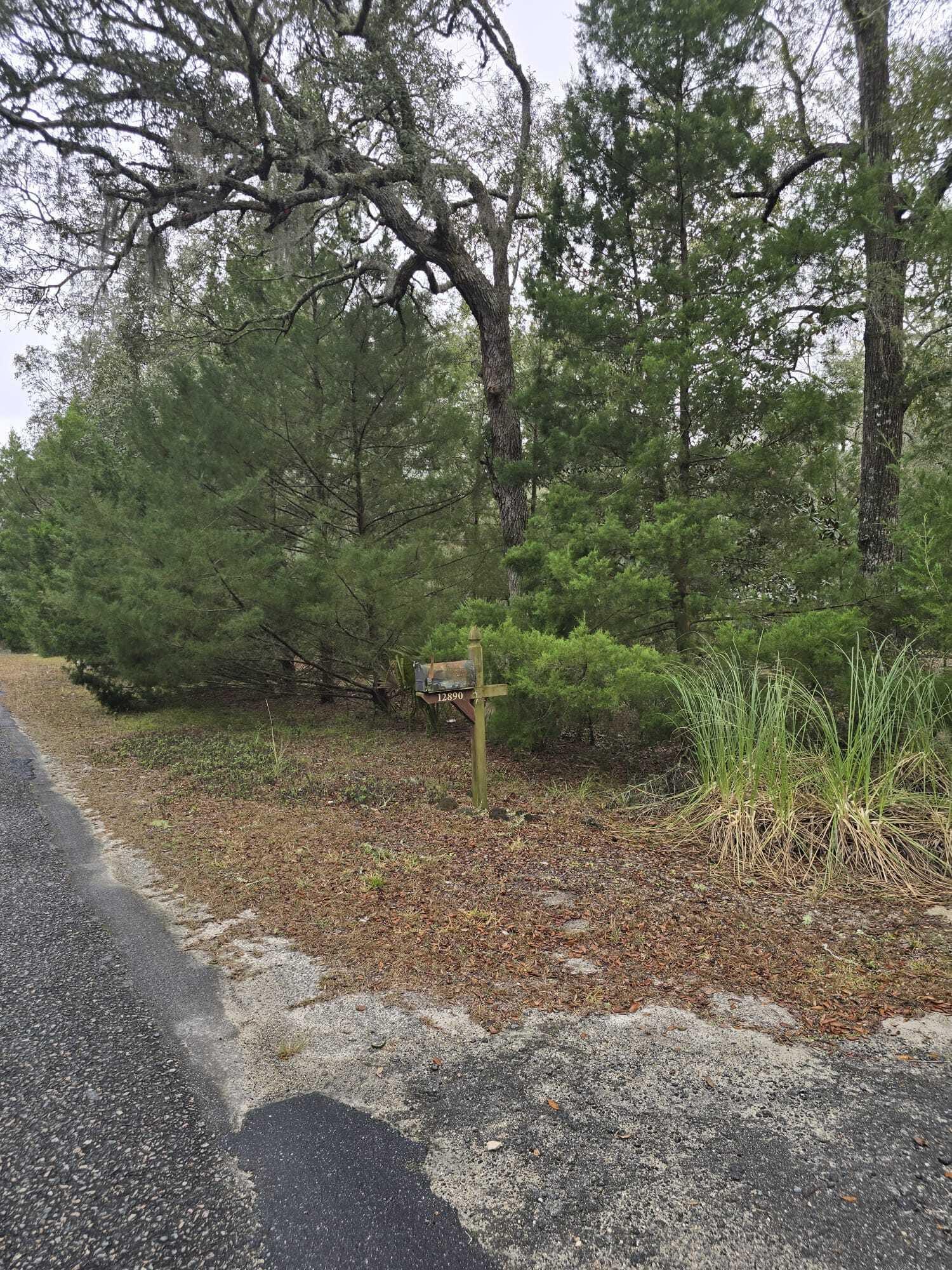 12890 NW 90th Avenue, Chiefland, FL 32626 photo 3