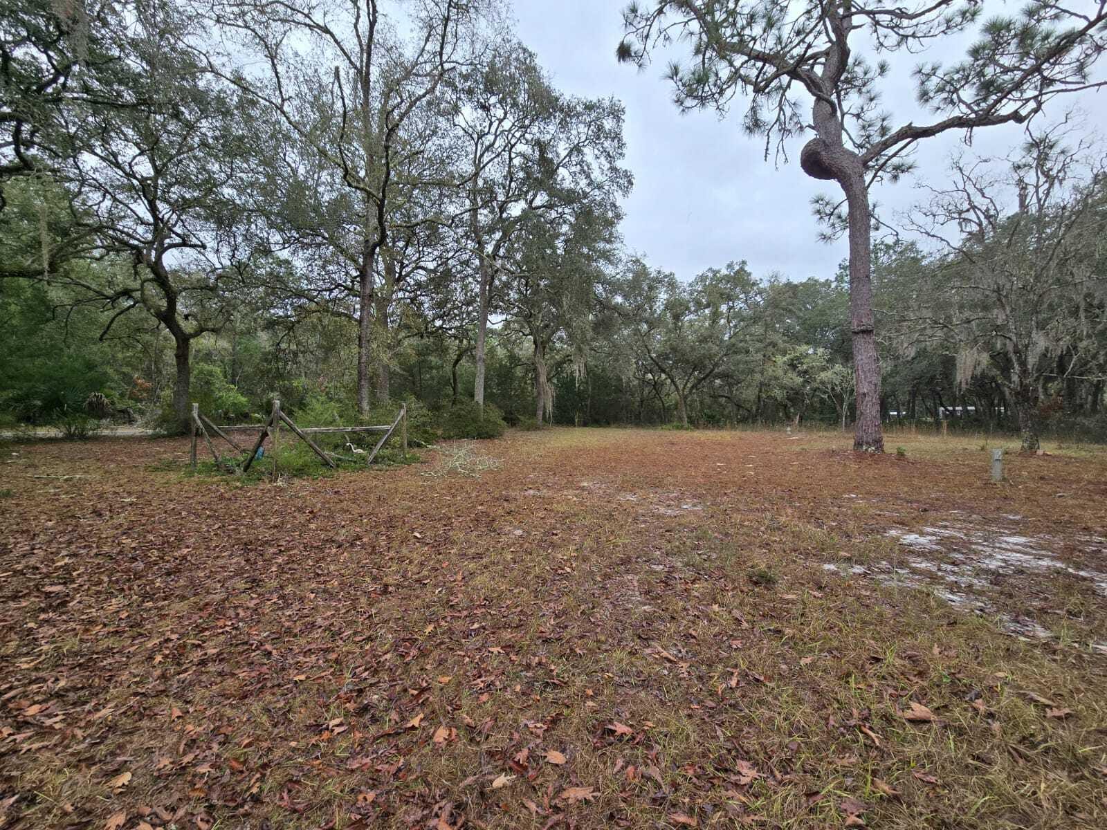 12890 NW 90th Avenue, Chiefland, FL 32626 photo 4