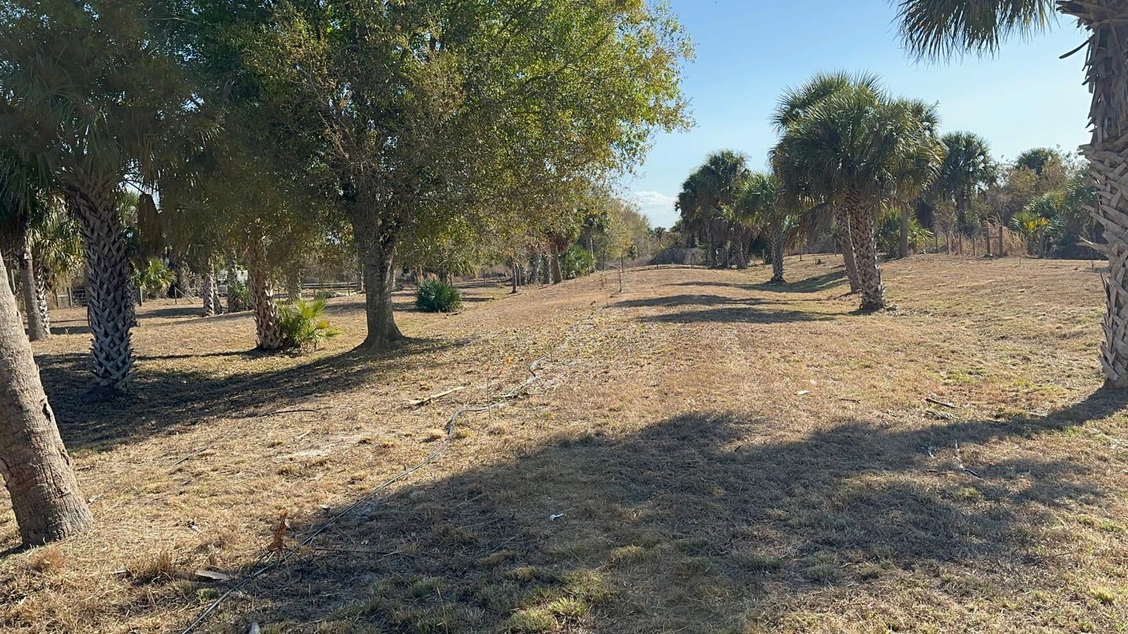 27325 SW Tommy Clements Street, Indiantown, FL 34956 photo 3
