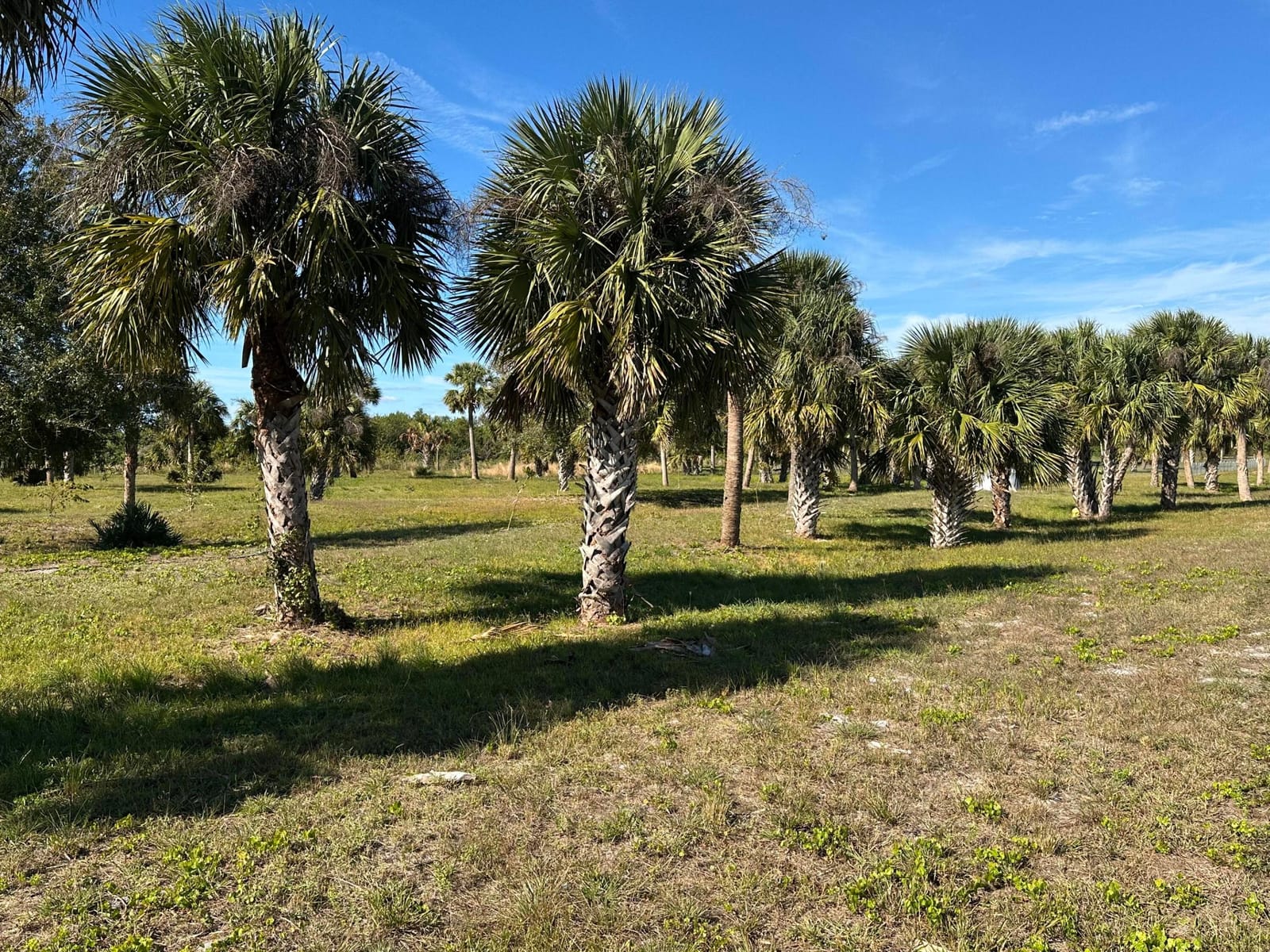 27325 SW Tommy Clements Street, Indiantown, FL 34956 photo 6