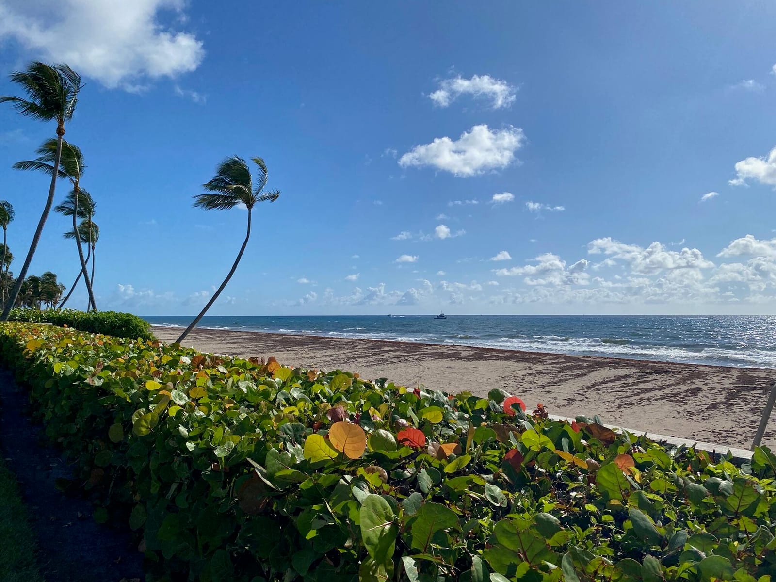 109 Via Vizcaya, Palm Beach, FL 33480 photo 7