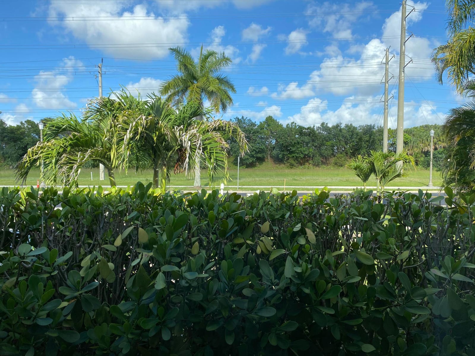 300 La Mancha Avenue, Royal Palm Beach, FL 33411 photo 4