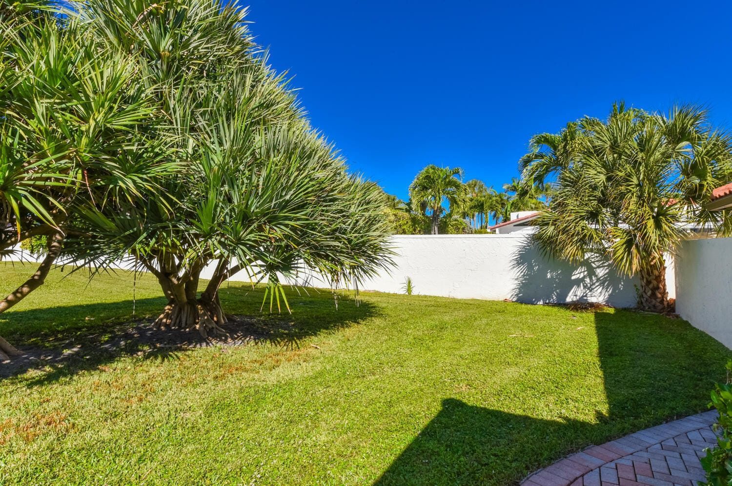 1469 Via Privada — photo 4