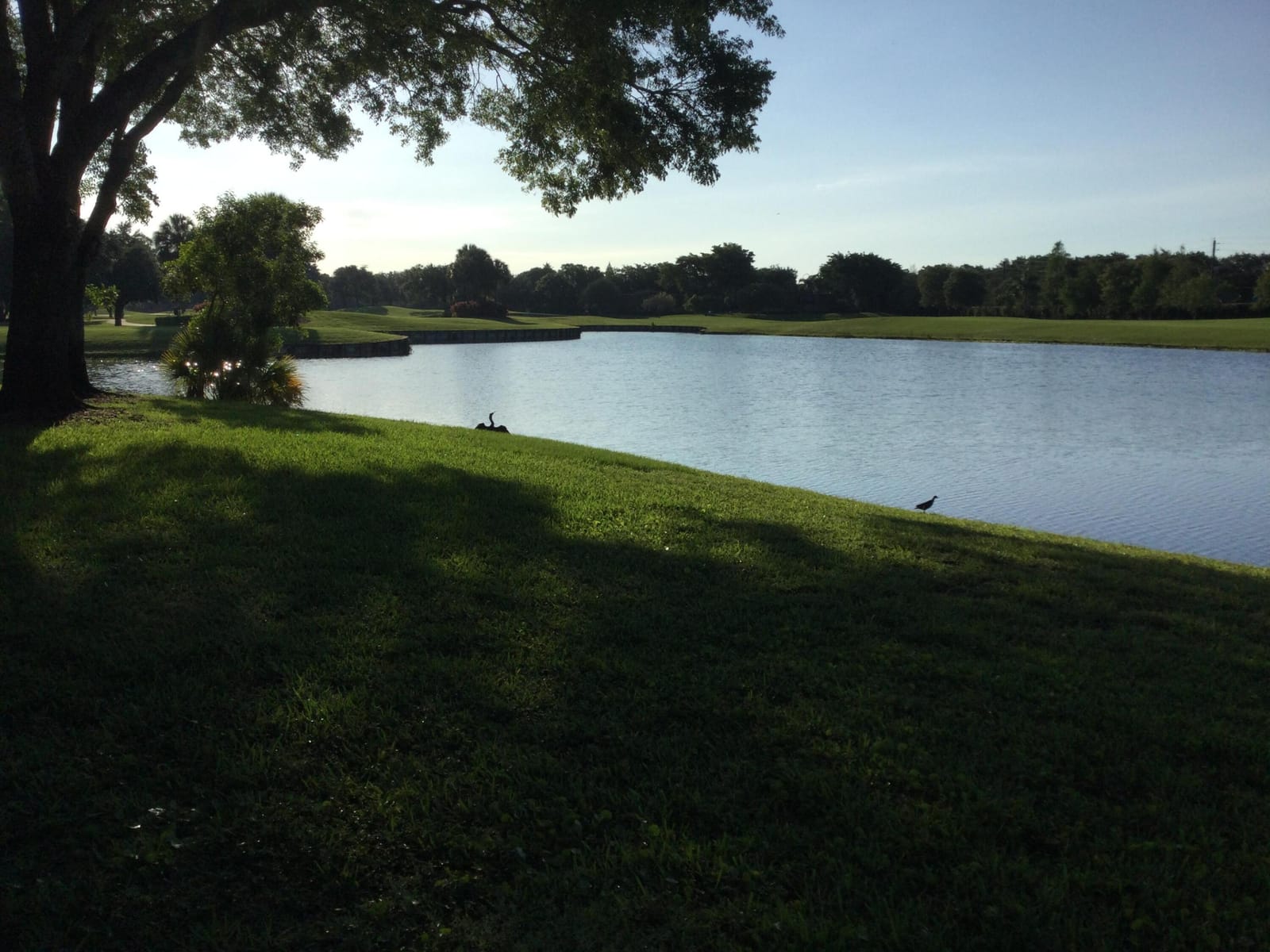 2240 SW 92nd Terrace 2402, Davie, FL 33324 photo 7