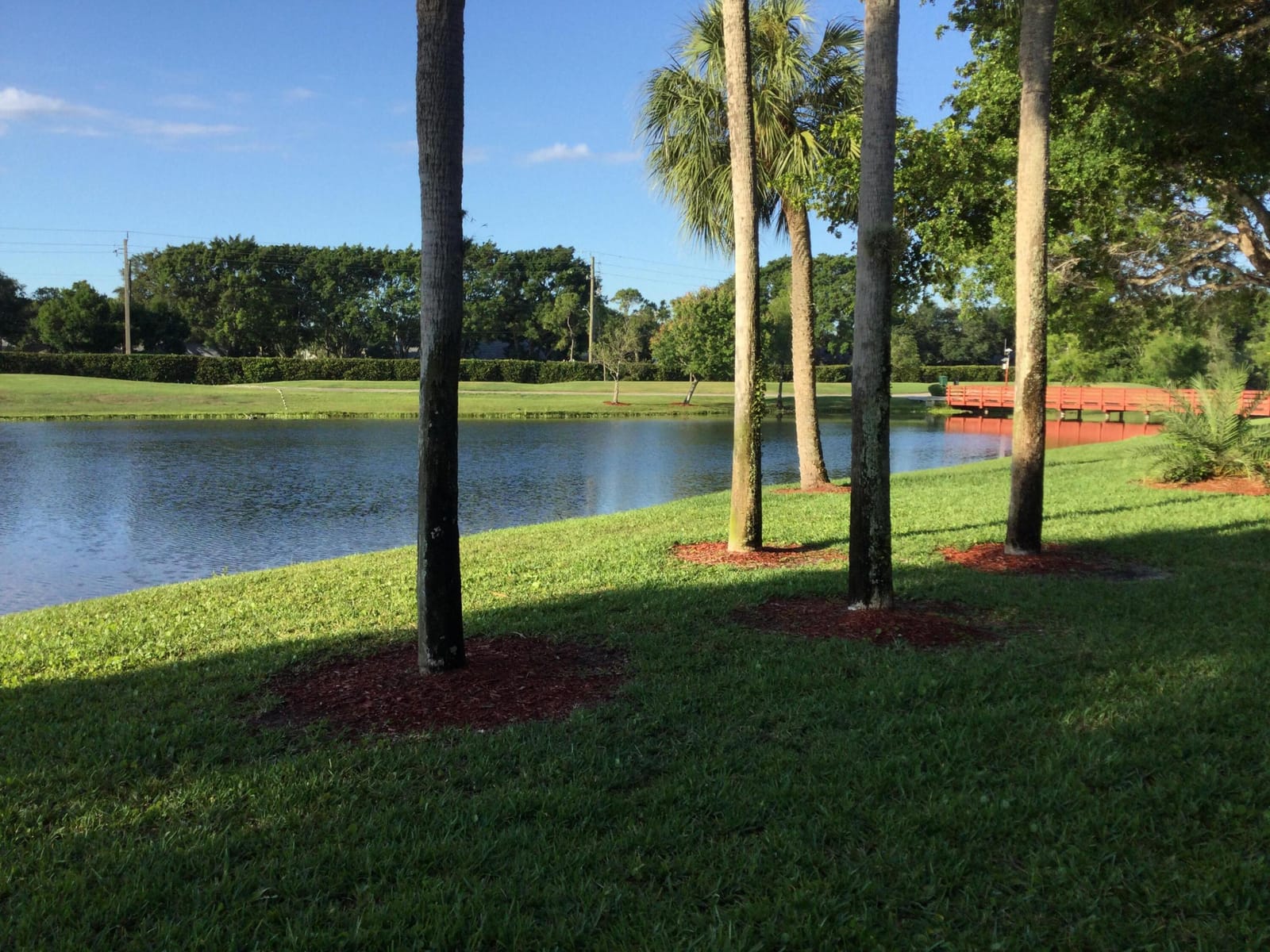 2240 SW 92nd Terrace 2402, Davie, FL 33324 photo 8