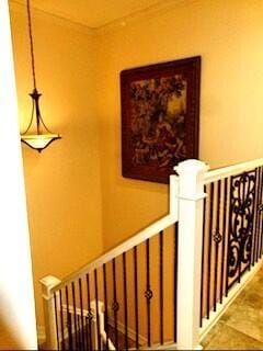 6898 Julia Gardens Drive — photo 8