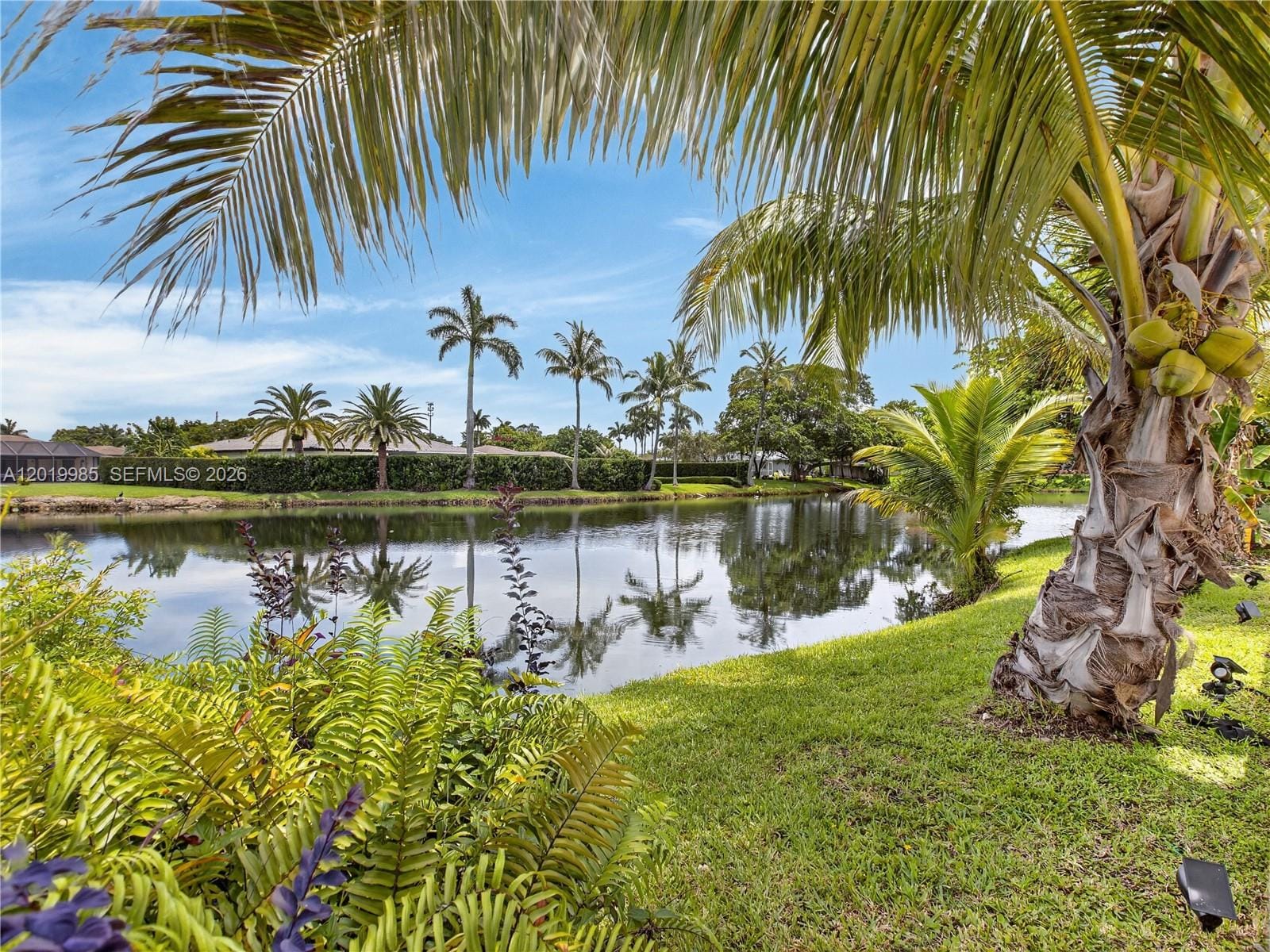 16641 Royal Poinciana Drive — photo 5