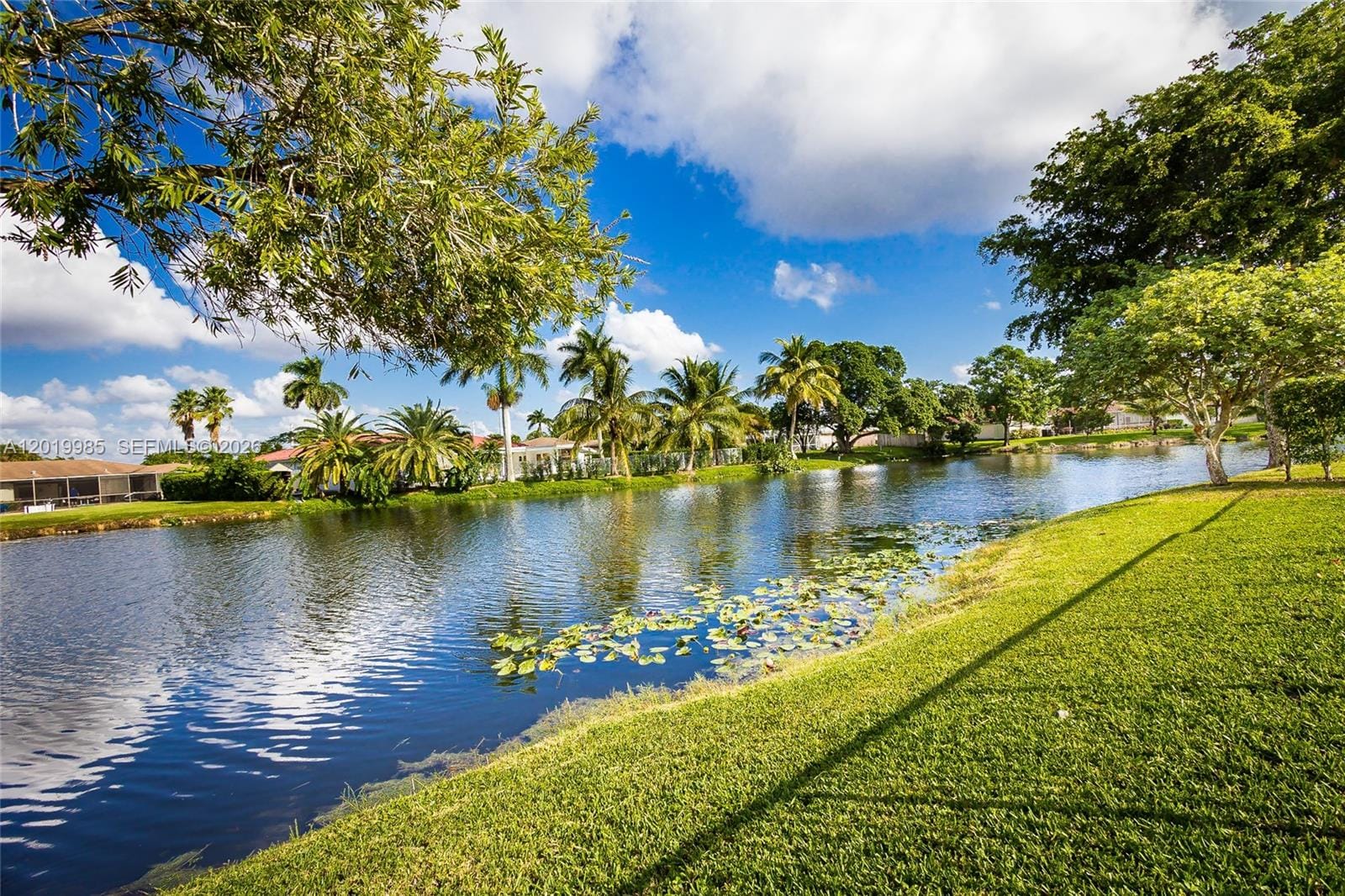 16641 Royal Poinciana Drive — photo 9