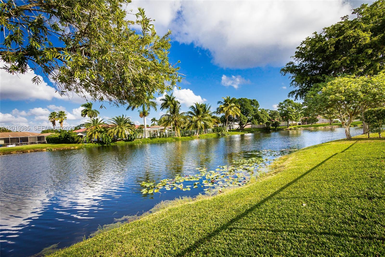 16641 Royal Poinciana Drive, Weston, FL 33326, Weston