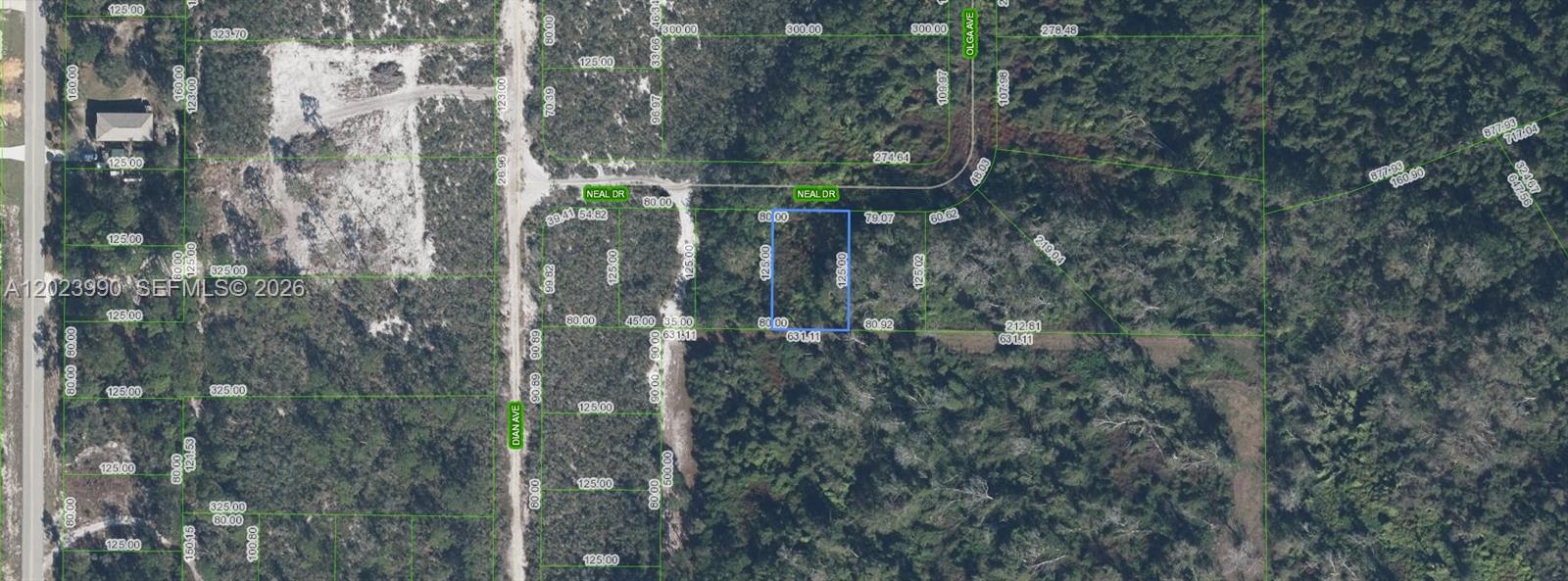 817 Neal, Sebring, FL 33875, Sebring