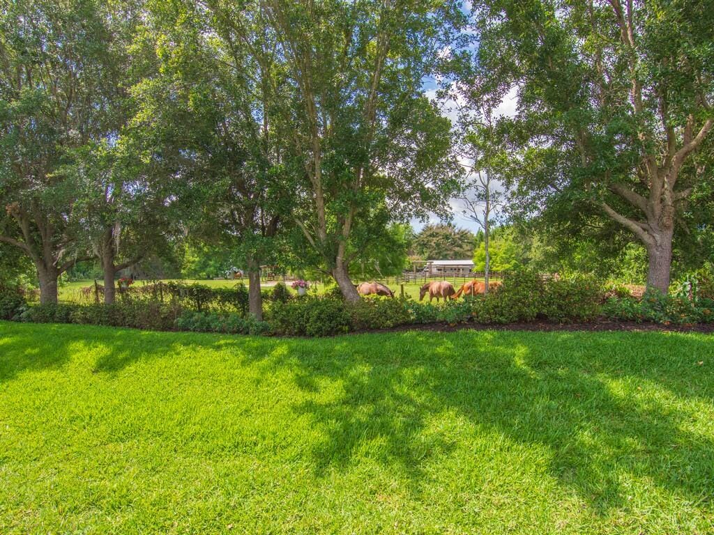 1340 Willow Oak Court — photo 10