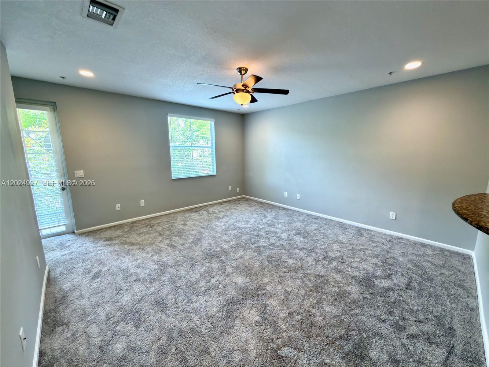 3909 White Peacock Lane — photo 6