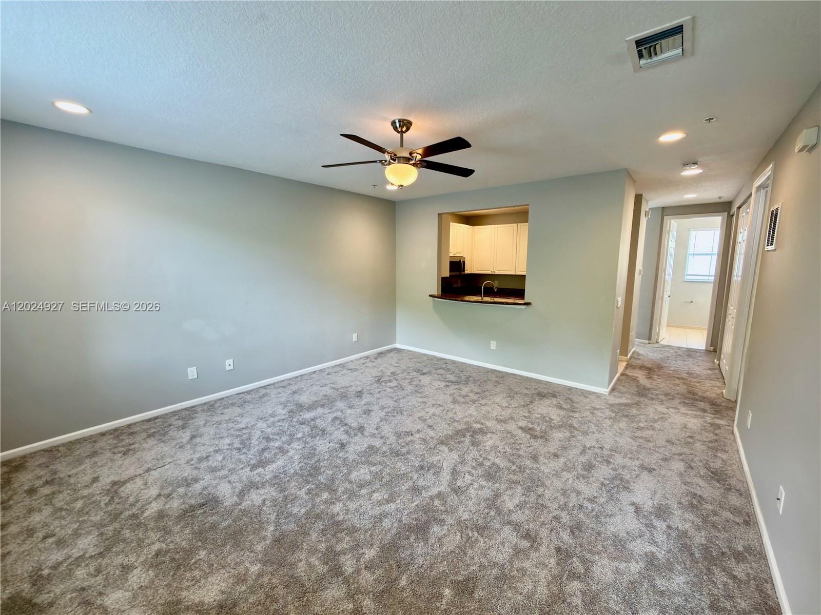 3909 White Peacock Lane — photo 8