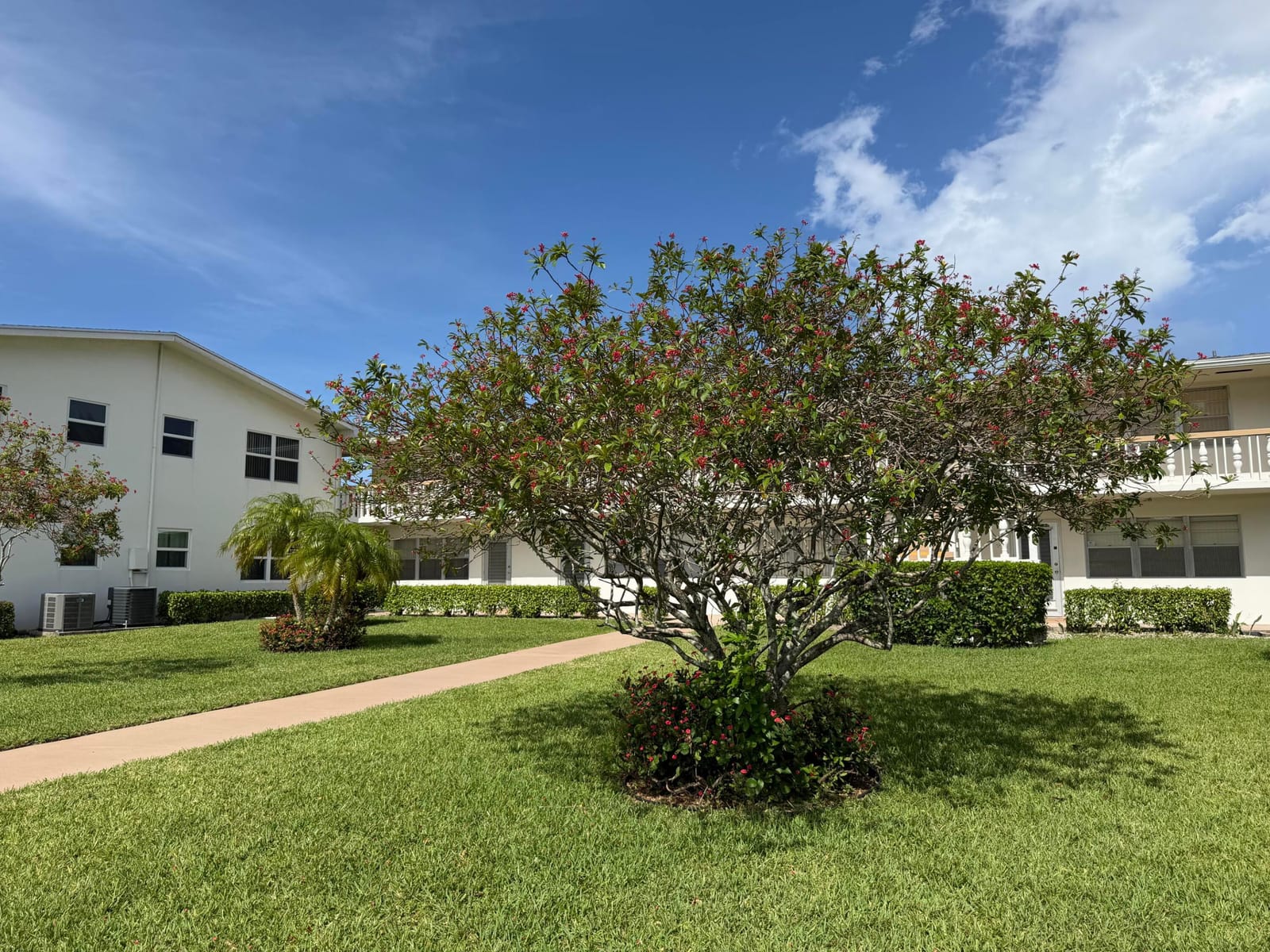 162 Windsor H, West Palm Beach, FL 33417 photo 30