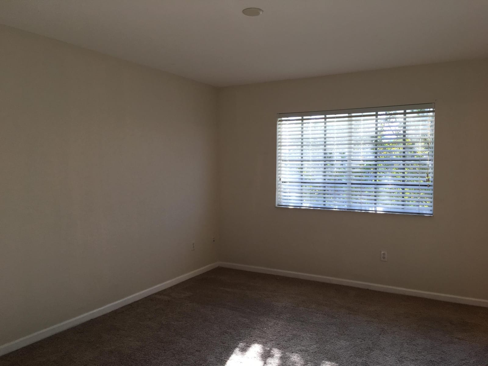 1213 Abaco Lane — photo 8