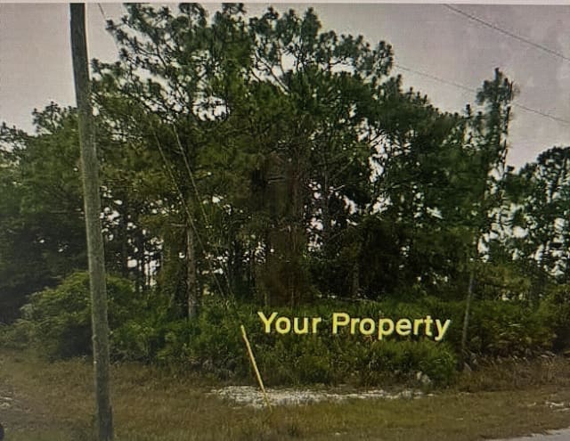 1170 Kingfisher Avenue NW, Lake Placid, FL 33852