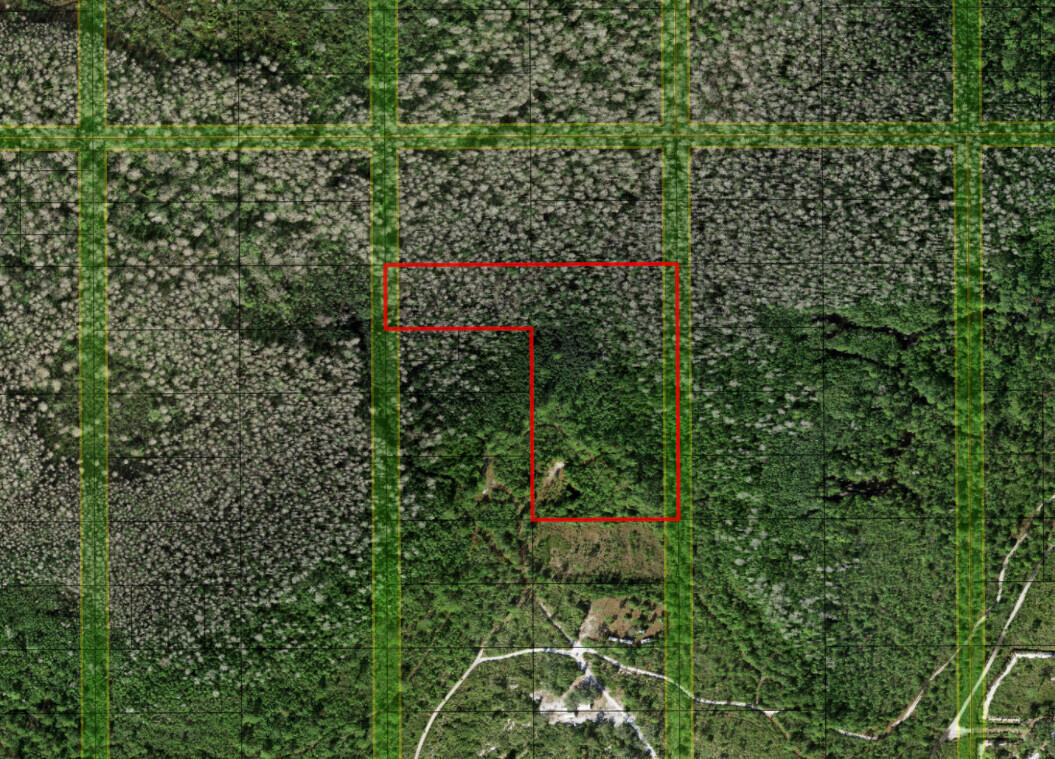 0 Holopaw Groves Road, St. Cloud, FL 34772, St Cloud