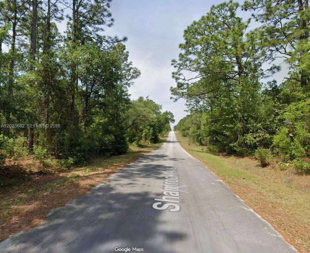 Lot 47 Lot 47 Shamrock Avenue, FL 34431, Dunnellon