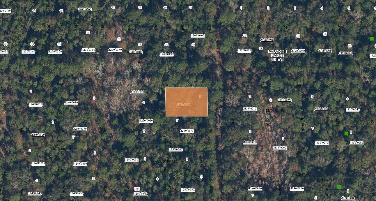 0 Spruce Drive, Georgetown, FL 32139, Georgetown