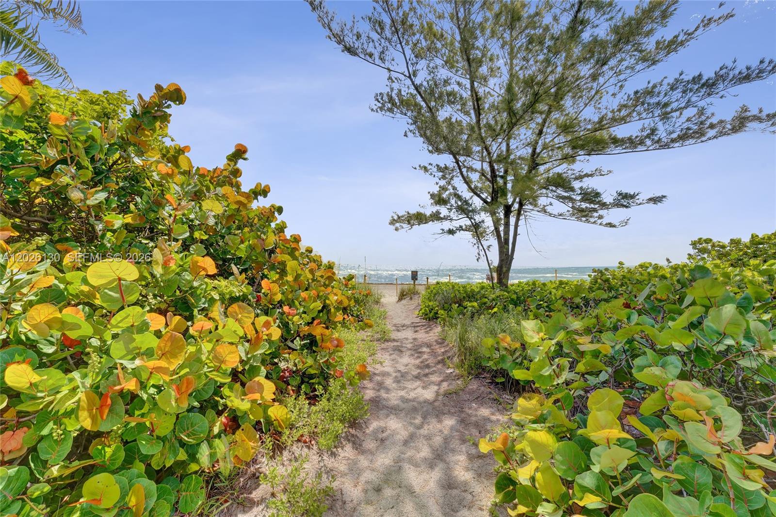 1936 S Ocean Drive 4C, Hallandale Beach, FL 33009, Hallandale Beach
