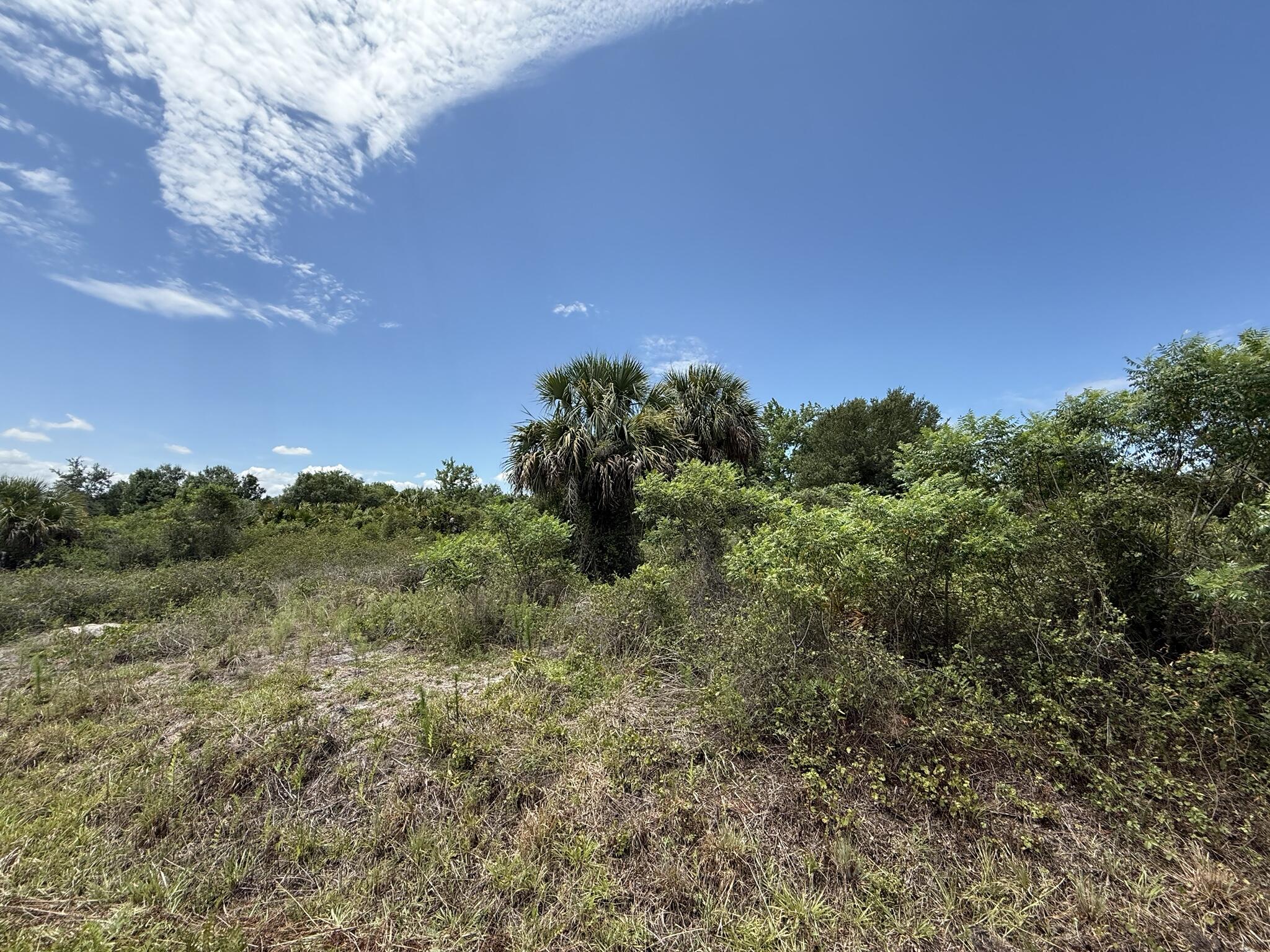 20174 NW 268th Street, Okeechobee, FL 34972, Okeechobee