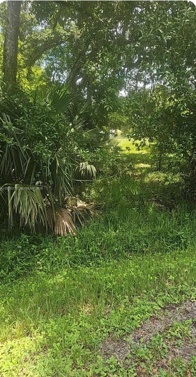 81 Magnolia Court, FL 34972 photo 5