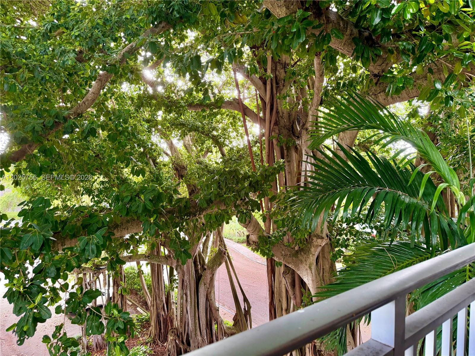 777 NE 62nd Street C512, Miami, FL 33138 photo 30