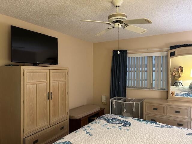 3489 Rossi Court — photo 9