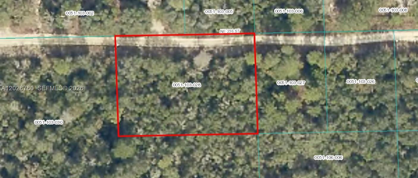 TBD NE Tbd 236, FL 32134, Fort Mc Coy