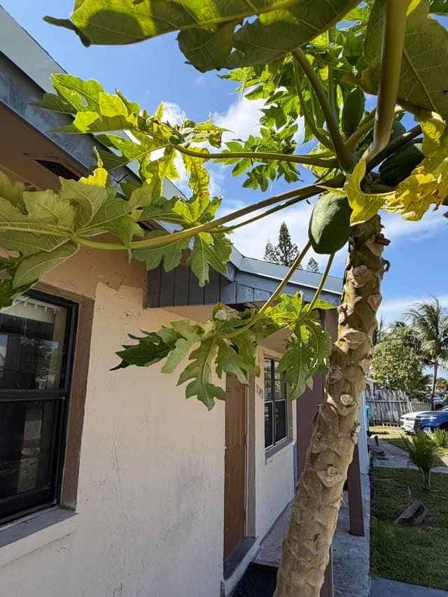 3243 Grove Road, Ridge Grove Estates, Boynton Beach, FL