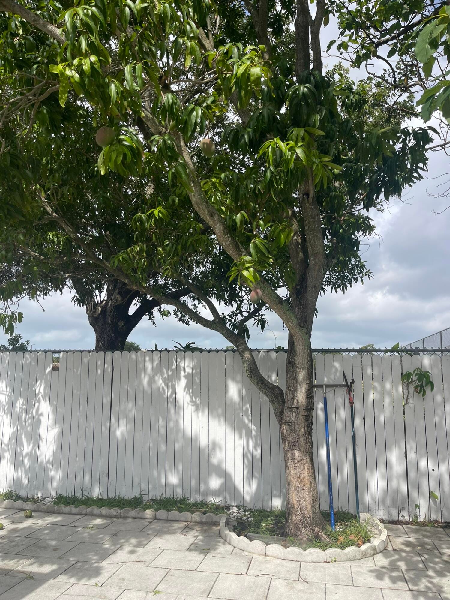 1534 Royal Forest Court, West Palm Beach, FL 33406 photo 19