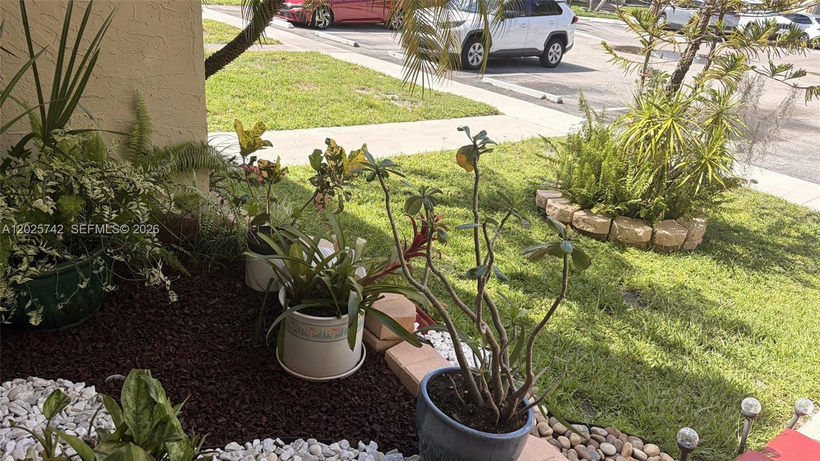 8982 Palm Tree Lane 8982 — photo 3