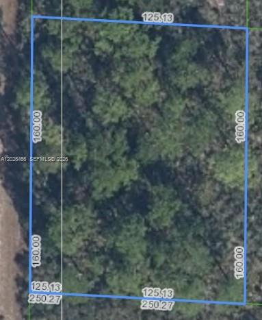 1139 Road, Lake Placid, FL 33852, Lake Placid