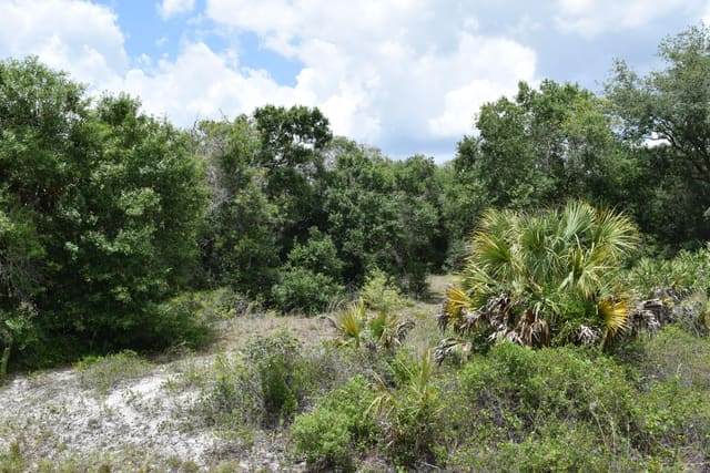 17119 NW 276th Street, Okeechobee, FL 34972